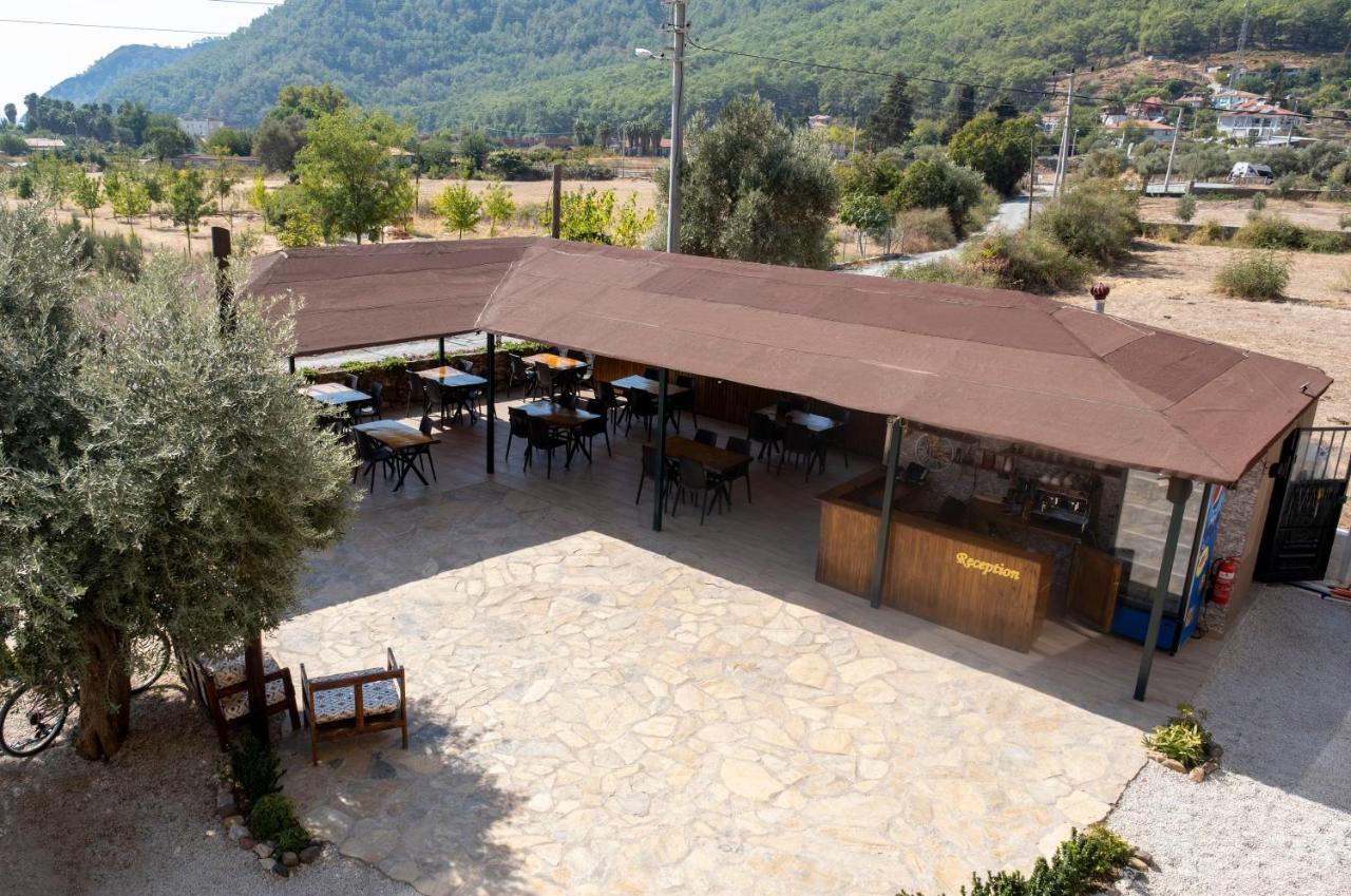 מוגלה Olive Tree Apart Hotel מראה חיצוני תמונה